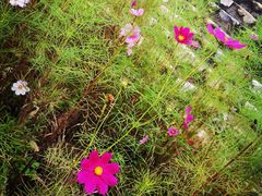 -潭柘厚院&山顶烤肉(潭柘寺店)