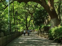 -吴山景区
