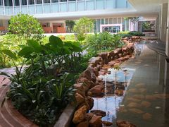 -香港大学