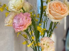 -Tomacado花厨(One ITC店)