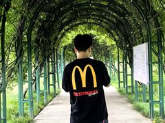 -杭州湾海上花田景区