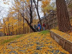 -阳台山自然风景区