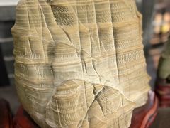 -游龙石文化科普馆