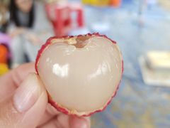 -从化深英荔枝黄皮龙眼采摘园