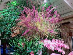 -春暖花开(西溪店)