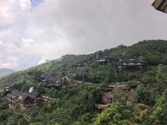 -三亚亚龙湾人间天堂鸟巢度假村