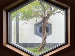 -苏州老字号·苏面斋·秃黄油·三虾面苏式面馆