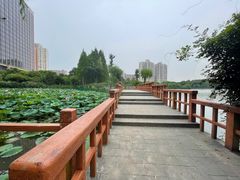 -黄兴公园