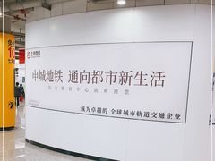 -东方体育中心(地铁站)