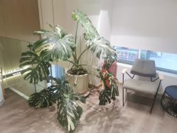 -海菲秀黑钻·SELF SKIN悦己·Tech SPA