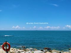 -广东惠东海龟国家级自然保护区