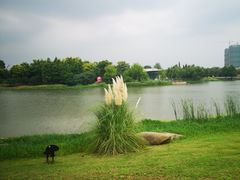 -尚贤河湿地