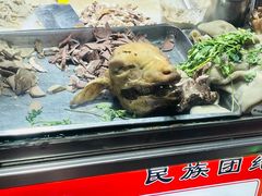 -正宁路小吃夜市