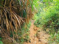 -阳台山森林公园