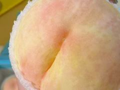 -老袁家蜜桃农场·阳山水蜜桃