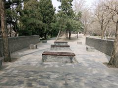 -元大都城垣遗址公园