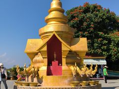 -西双版纳勐泐文化旅游区