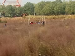 -艾溪湖湿地公园