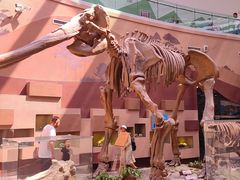 -陕西自然博物馆