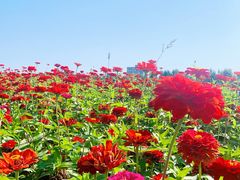 -长春世界雕塑园冰雪艺术天地