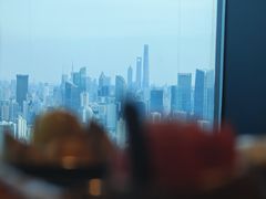 -上海龙之梦万丽酒店