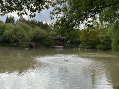 -瀛洲公园