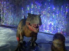 -多彩贵州城极地海洋世界