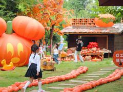 -HERRE·FARM 赫尔露营农场·团建聚会包场