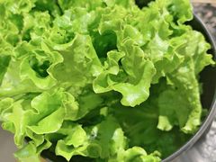 -九田家黑牛烤肉料理(珠江摩尔店)