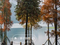 -重庆彩云湖湿地公园