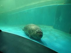 -青岛海底世界-水族馆