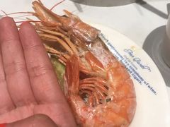 -星伦多海鲜自助餐厅(万达百货店)