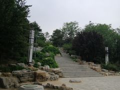 -大兴滨河森林公园