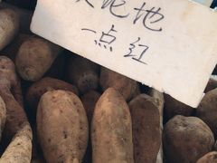 -大湾区中央湿地公园-十九涌