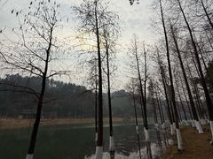 -常德桃花源景区
