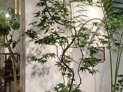 -双季花艺园艺市场(浦东店)