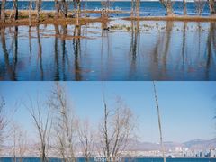 -洱海月湿地公园