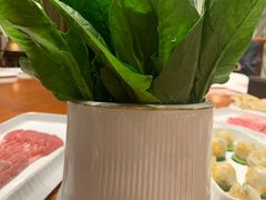 -丁卯•铜锅涮肉(工体店)