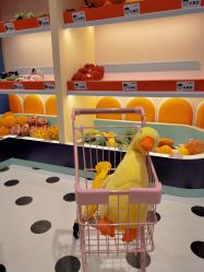 -MELAND CLUB亲子乐园·派对·餐厅(北京芳圆里ID MALL店)