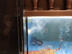 -麒茗餐厅·粤菜·宴会厅·海鲜(锦绣路店)