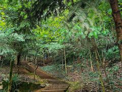 -上海佘山国家森林公园天马山园