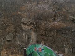 -大岭沟猕猴桃谷风景区