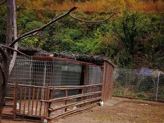 -北京山里寒舍度假酒店