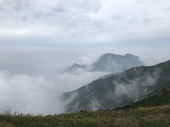 -白草畔自然风景区