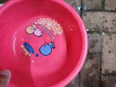 -白沙门生态公园