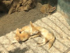 -昆明动物园