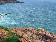 -广东惠东海龟国家级自然保护区