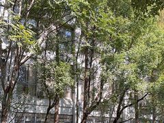 -复旦张江校区食堂