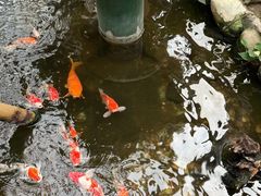 -上海大自然野生昆虫馆(东方明珠·爬宠昆虫探索中心)