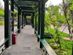 -西海子公园